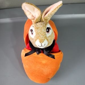 Peter Rabbit Plush